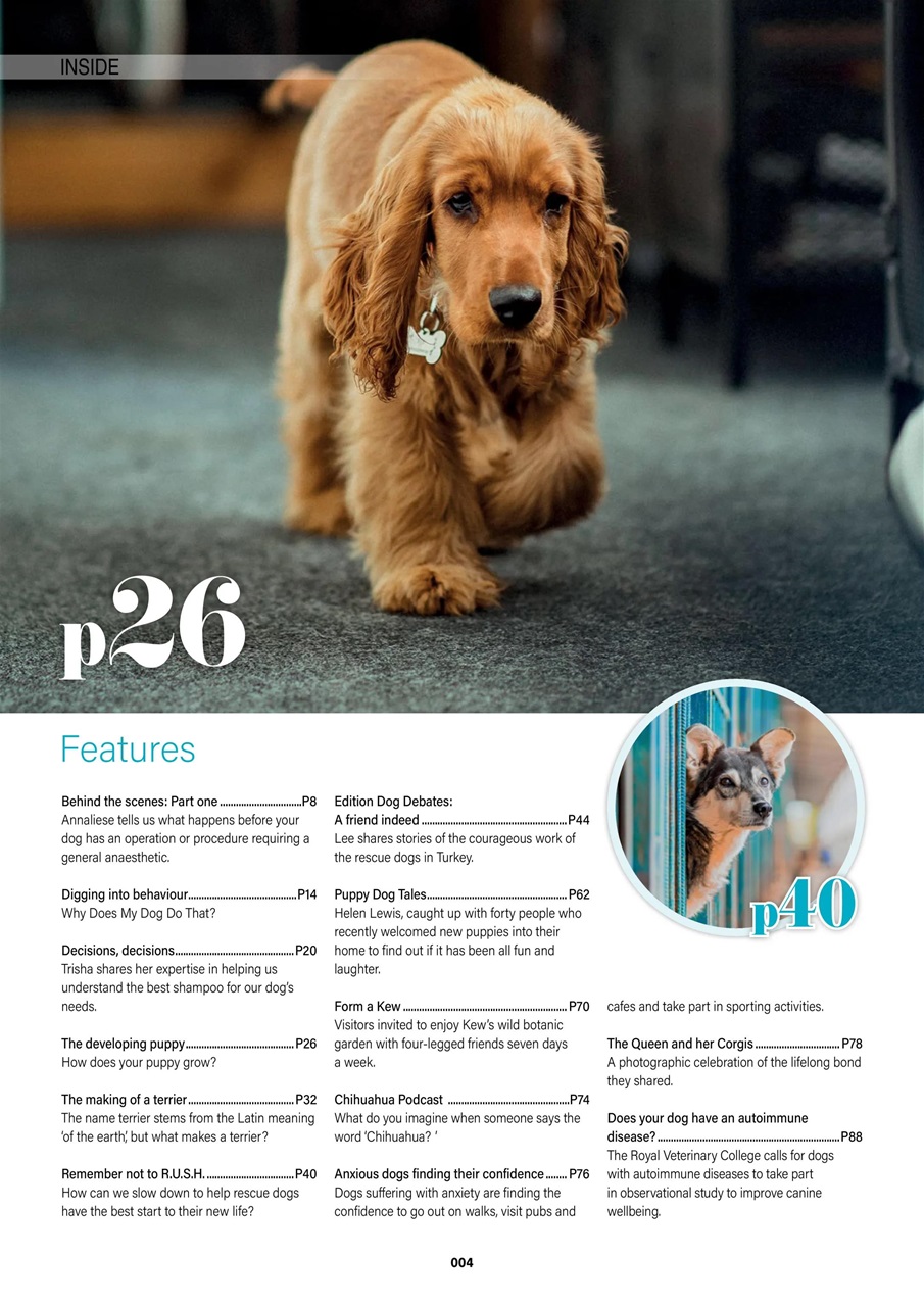 Edition Dog Preview Pages