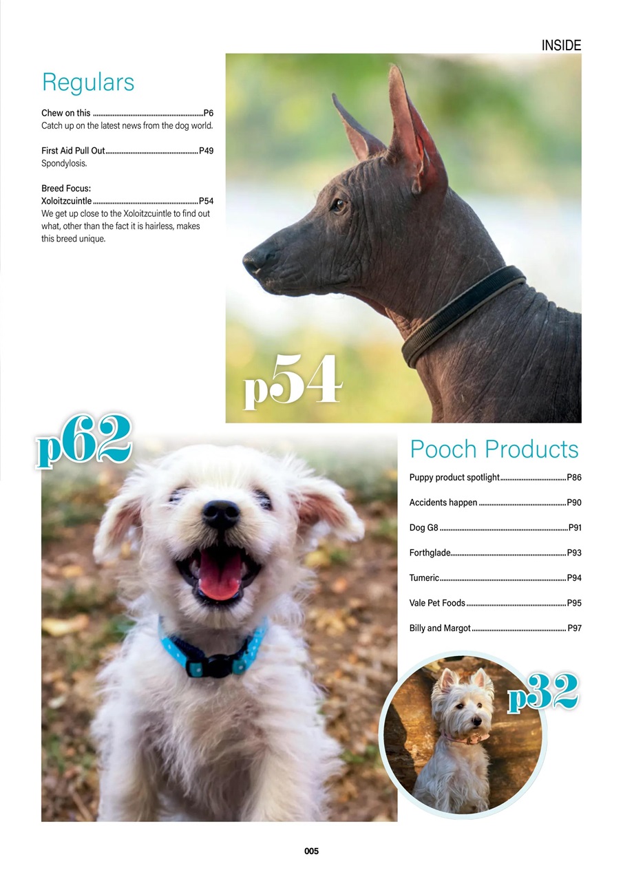 Edition Dog Preview Pages