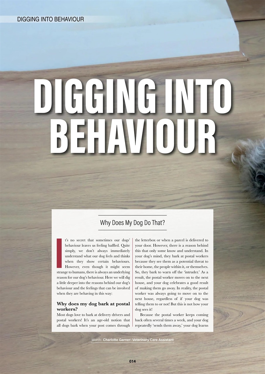 Edition Dog Preview Pages