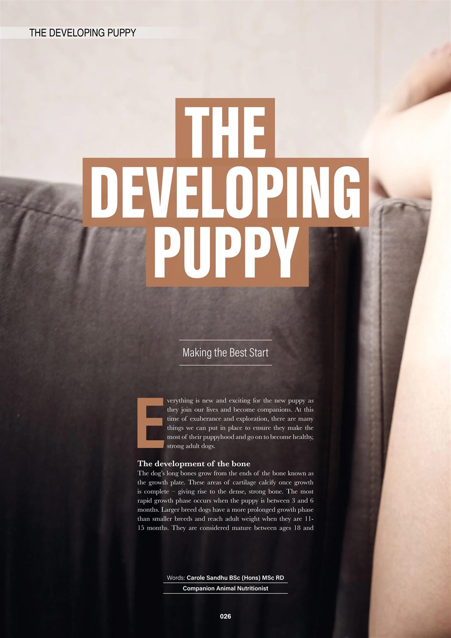 Edition Dog Preview Pages