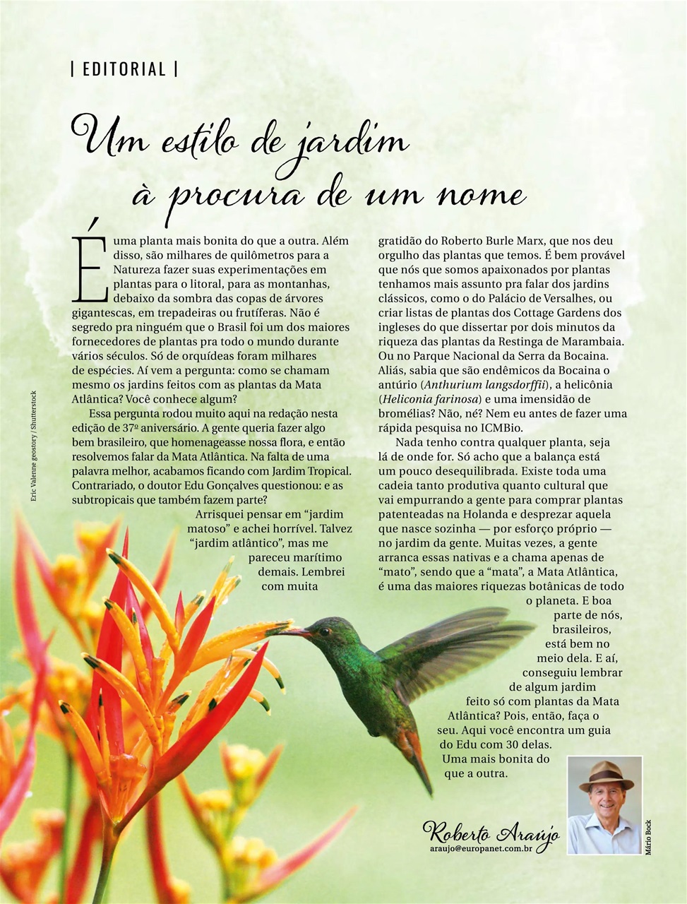 Natureza Preview Pages