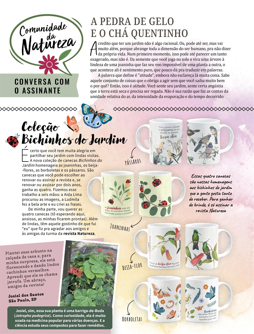 Natureza Preview Pages