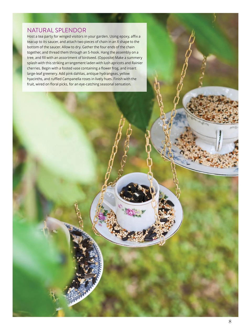 Southern Lady Preview Pages