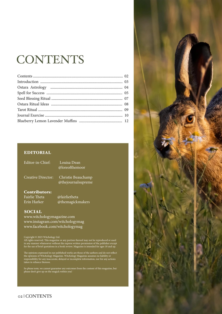 Witchology Magazine Preview Pages