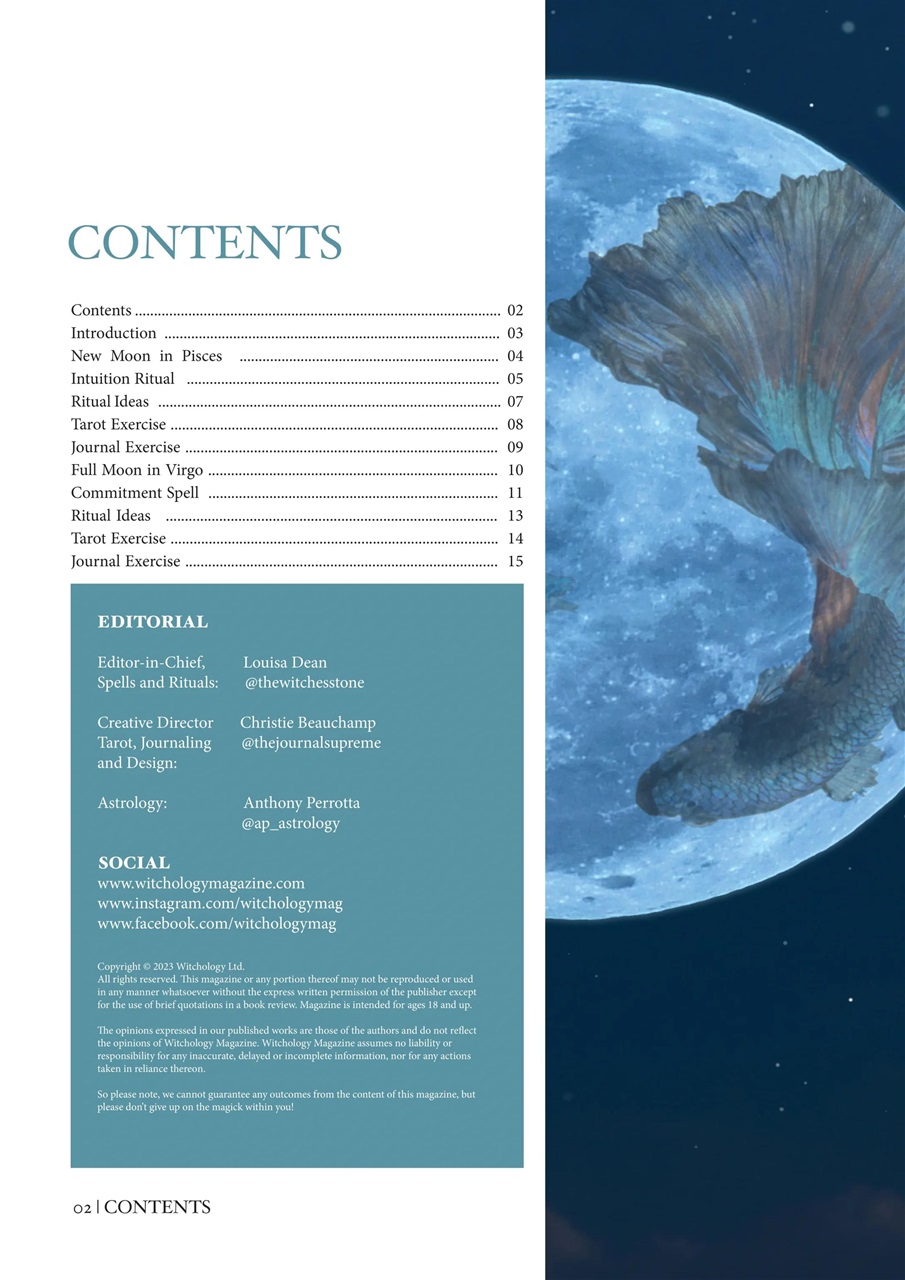 Witchology Magazine Preview Pages