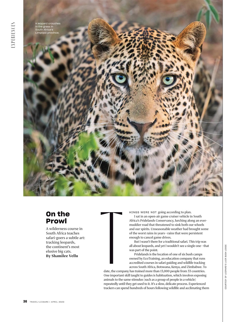 Travel + Leisure Preview Pages