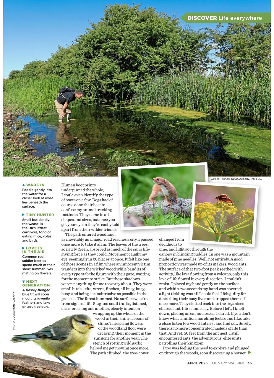 Country Walking Preview Pages