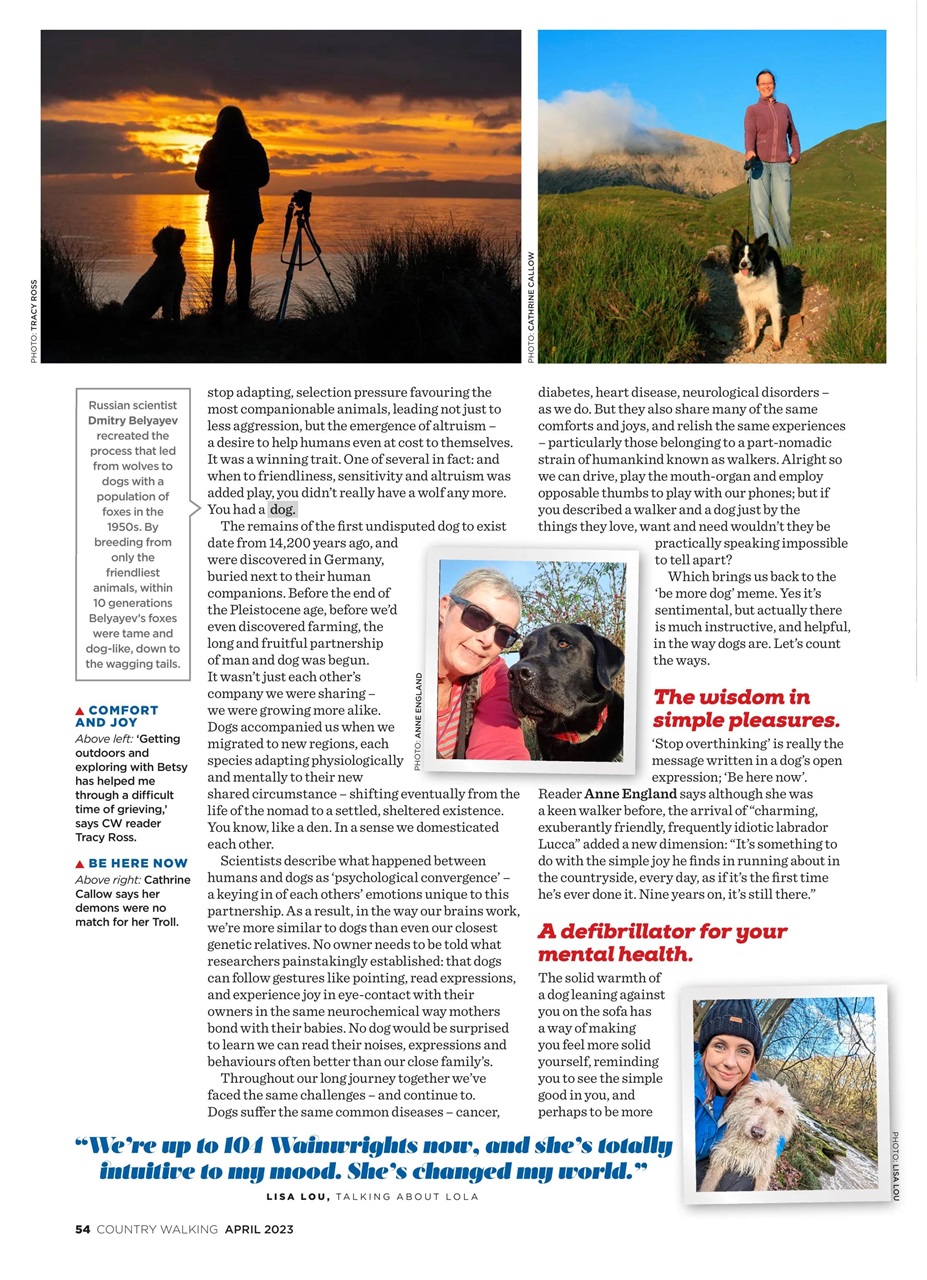 Country Walking Preview Pages