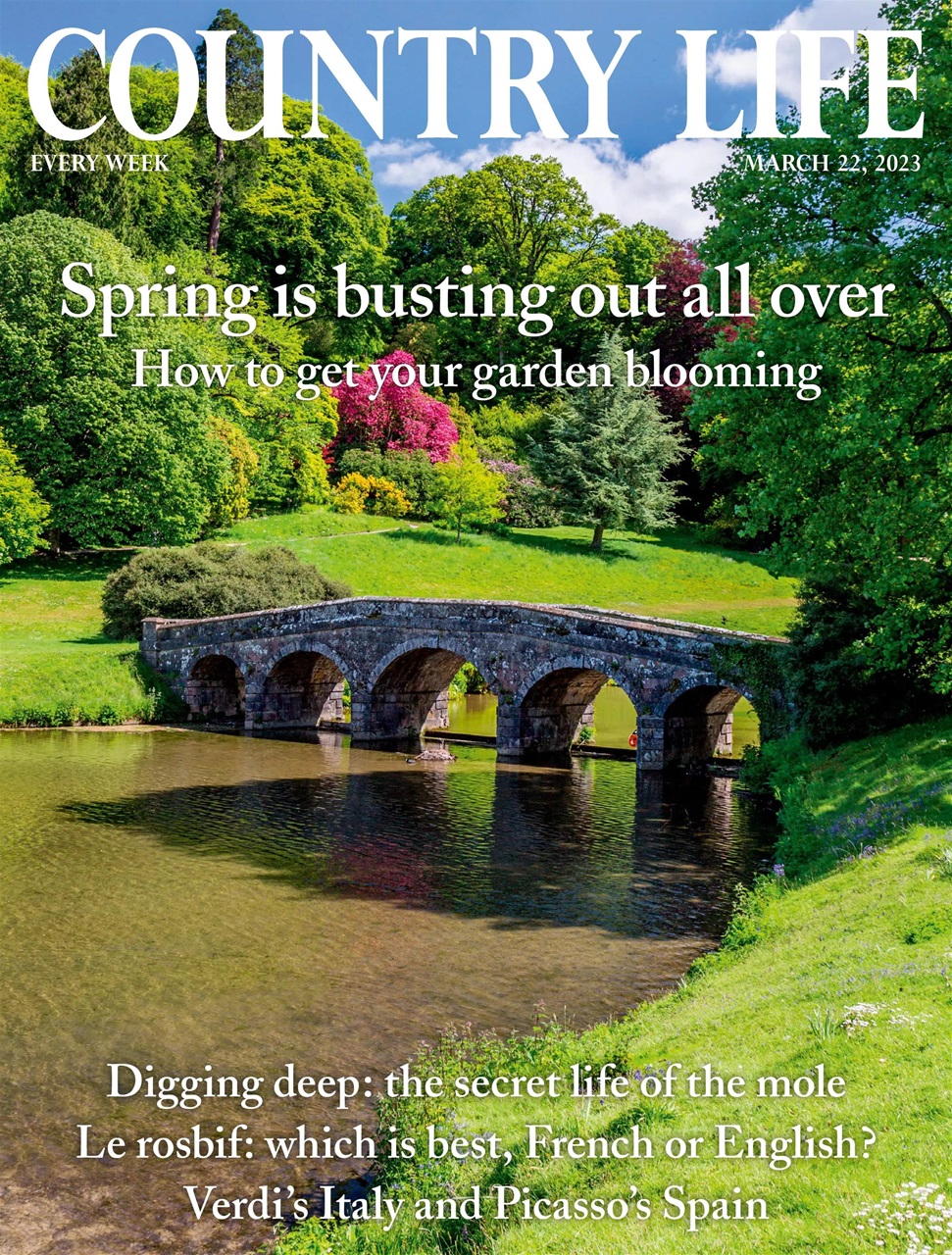 Country Life Preview Pages