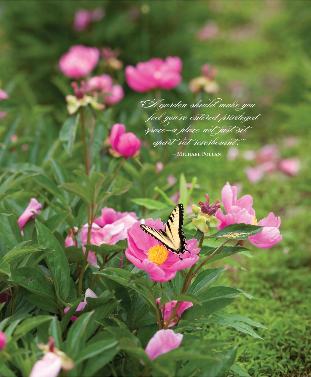 Southern Home Preview Pages