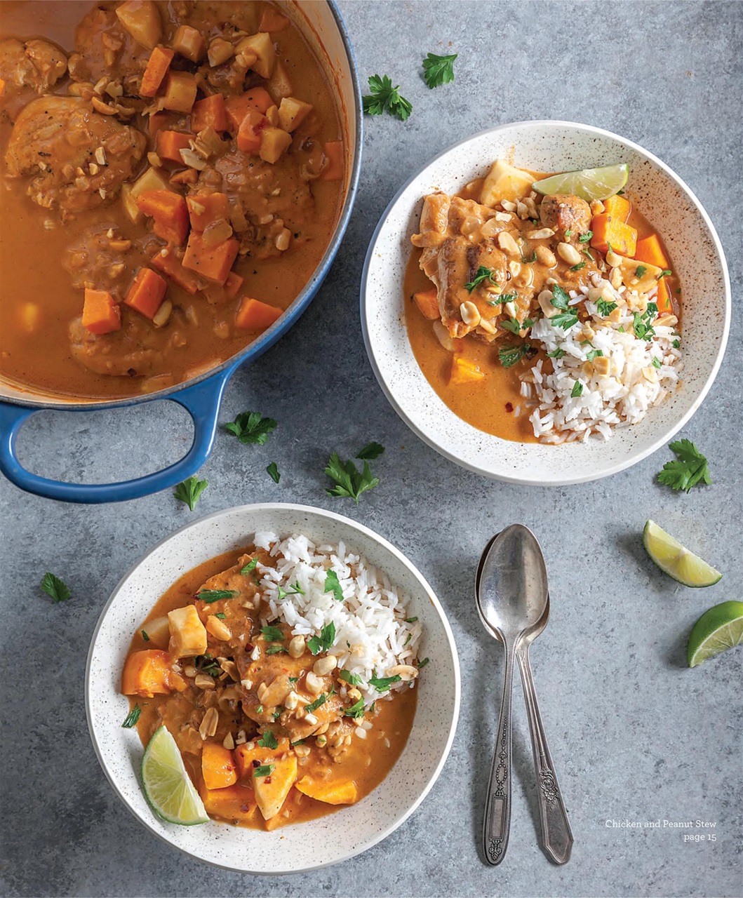 Southern Cast Iron Preview Pages