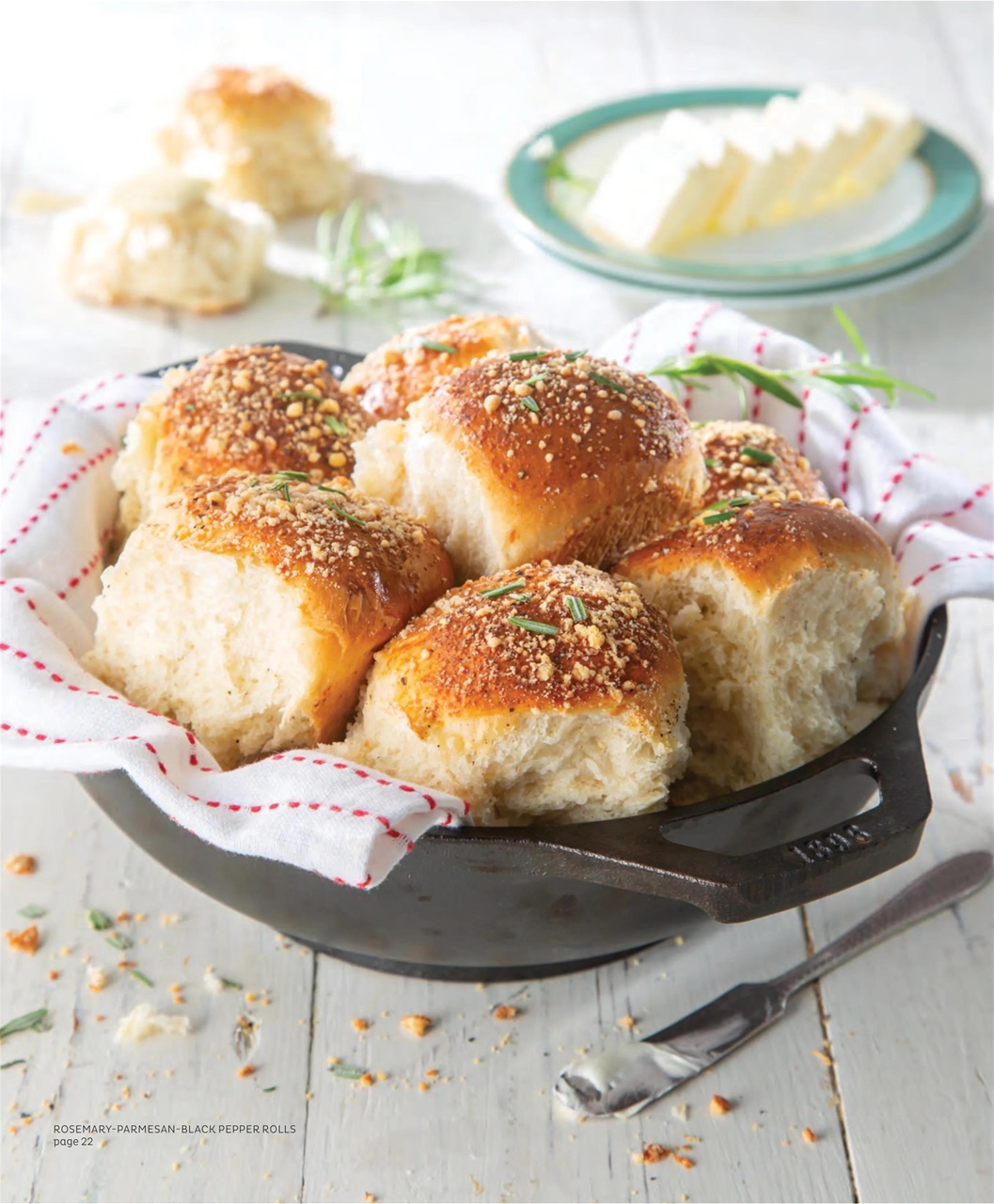 Southern Cast Iron Preview Pages