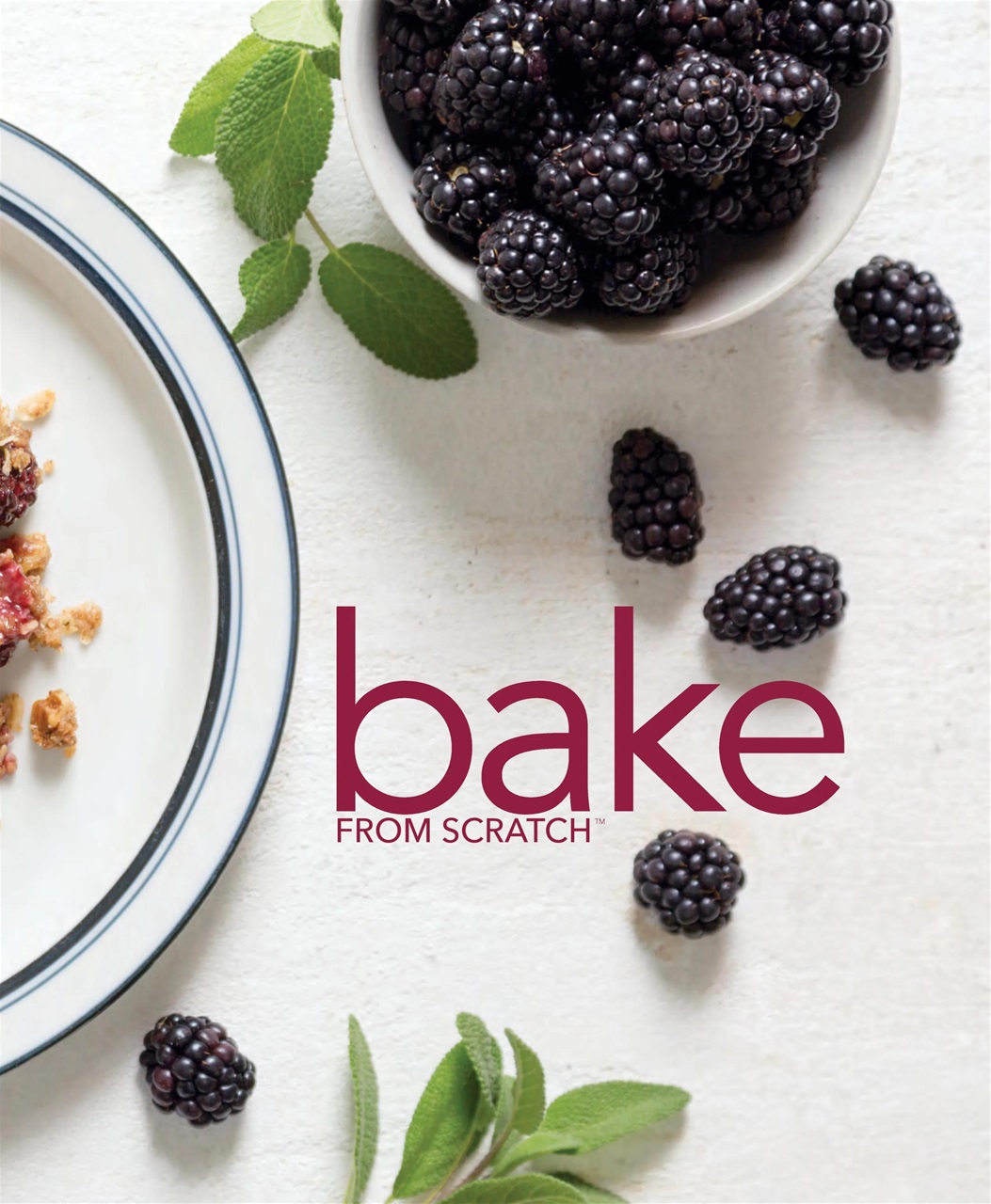 Bake from Scratch Preview Pages
