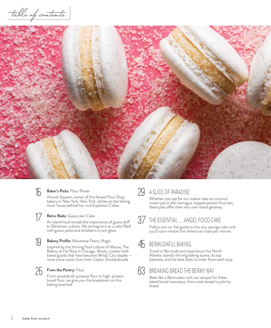 Bake from Scratch Preview Pages