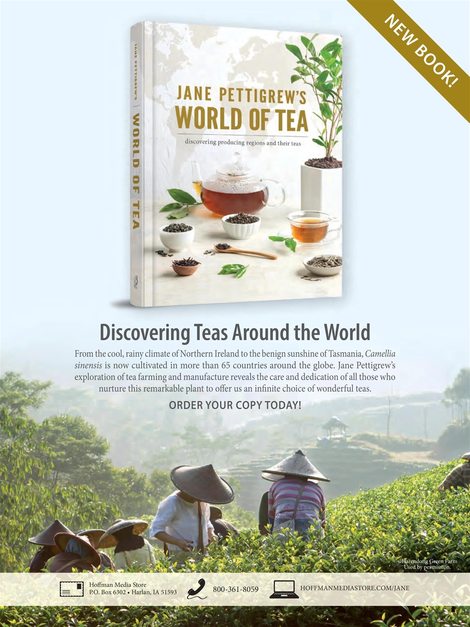 TeaTime Preview Pages