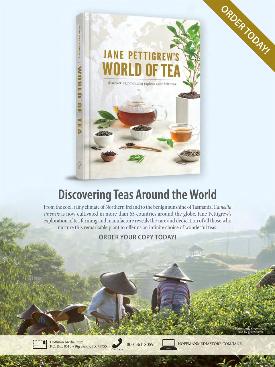 TeaTime Preview Pages