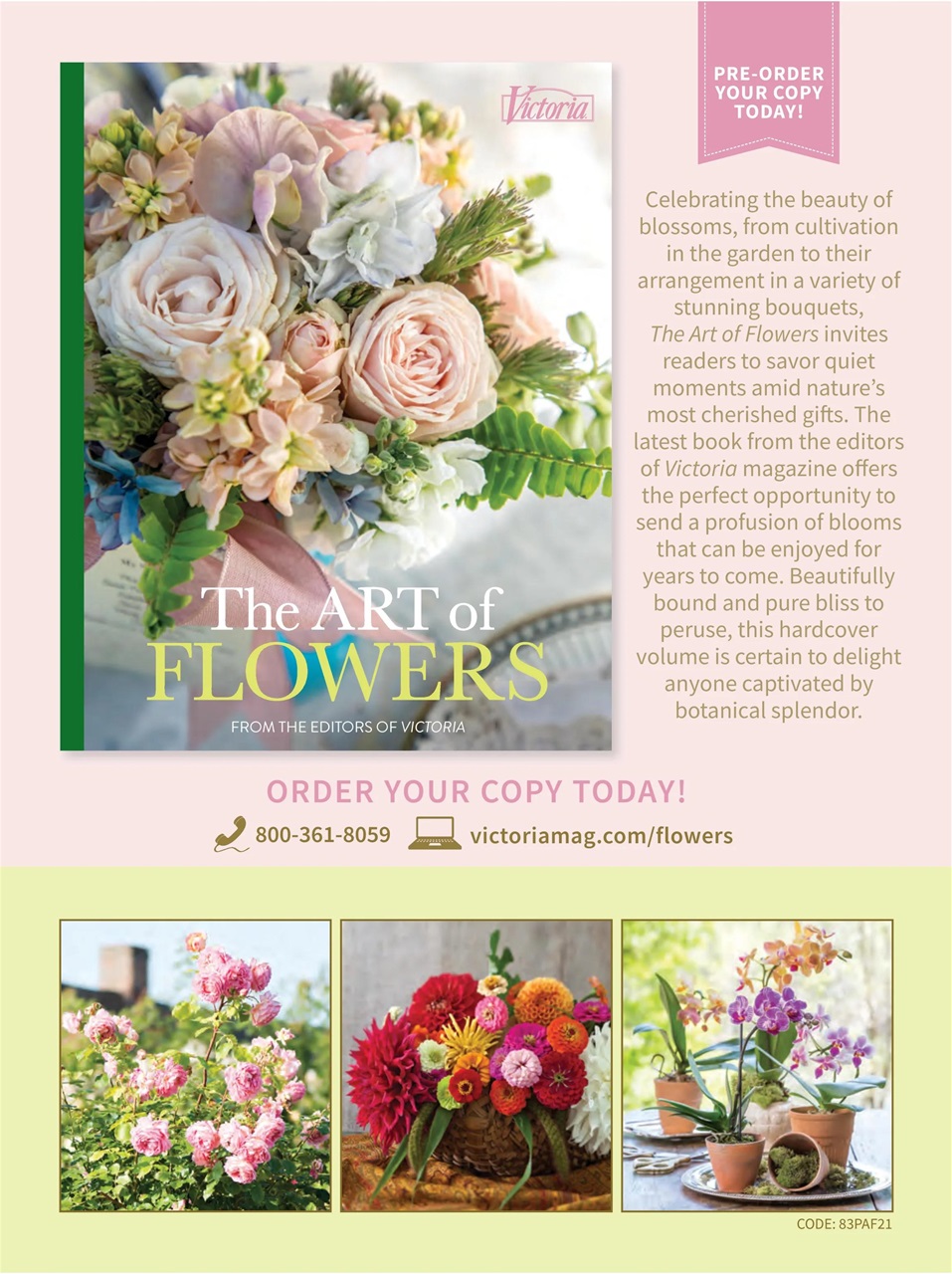 TeaTime Preview Pages