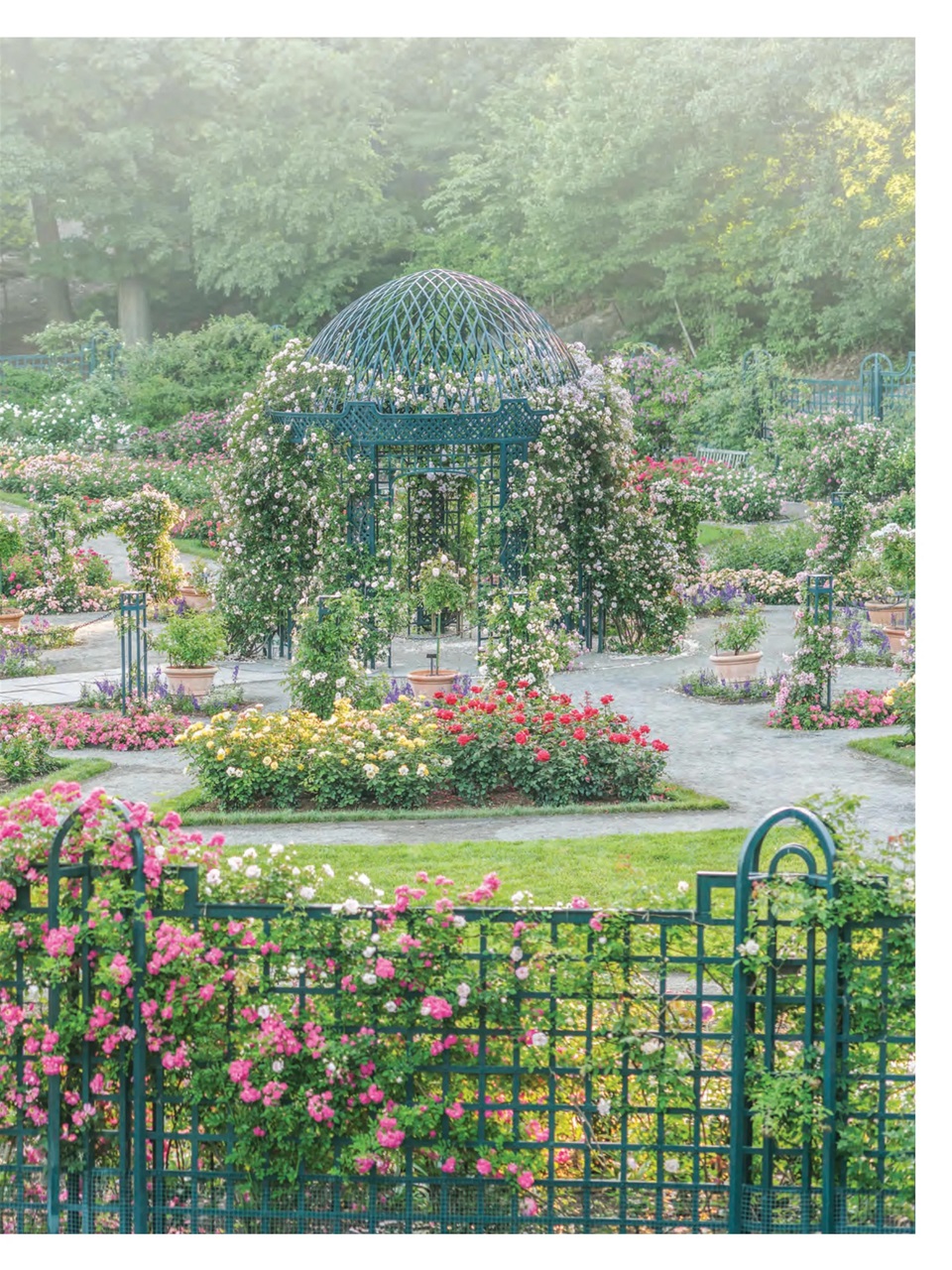 Victoria Preview Pages