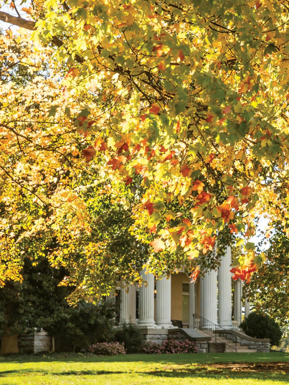 Southern Lady Preview Pages