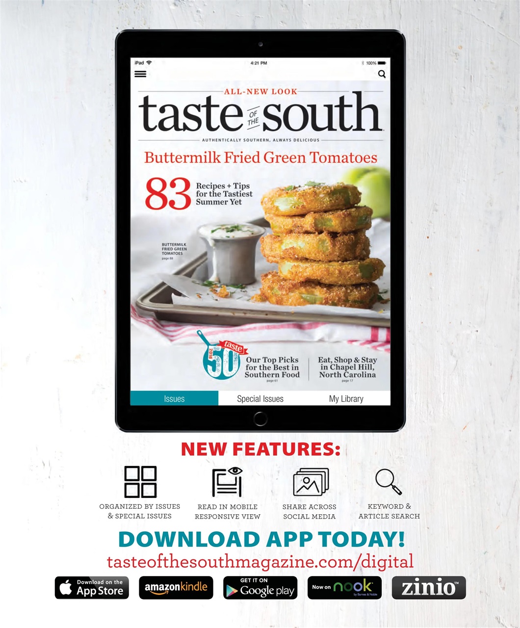 Taste of the South Preview Pages
