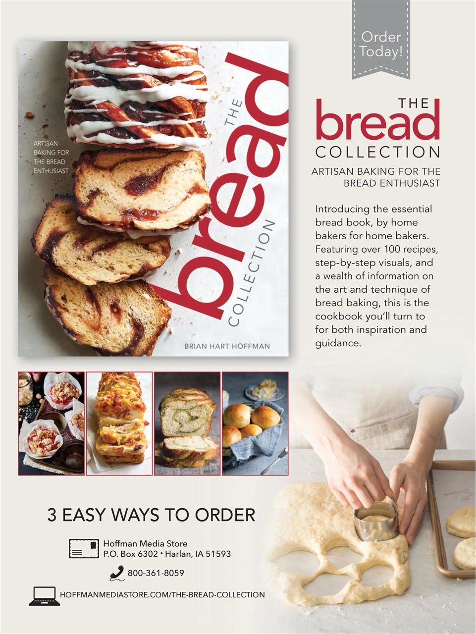 Taste of the South Preview Pages