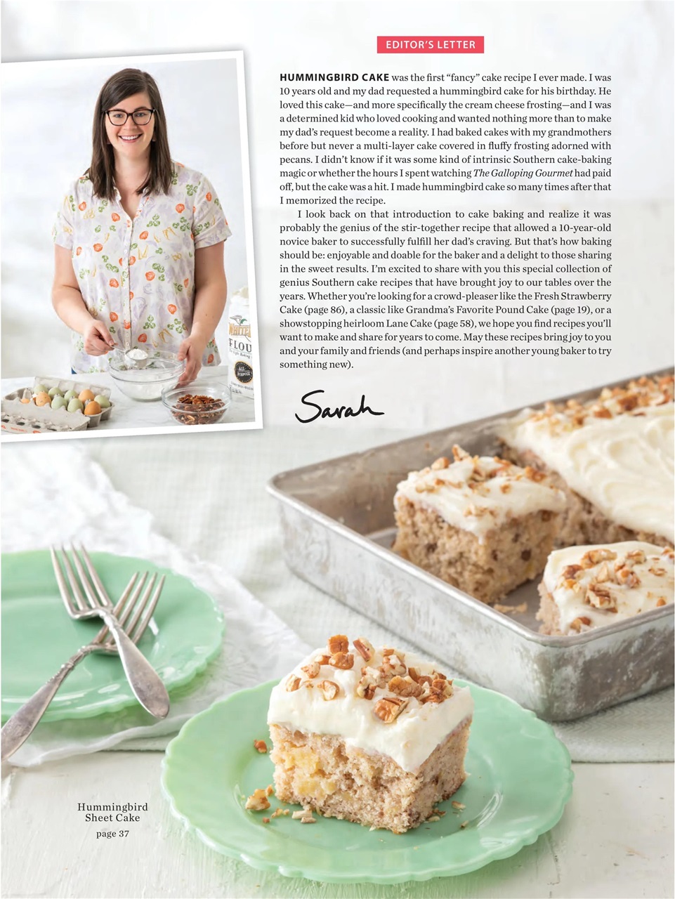 Taste of the South Preview Pages