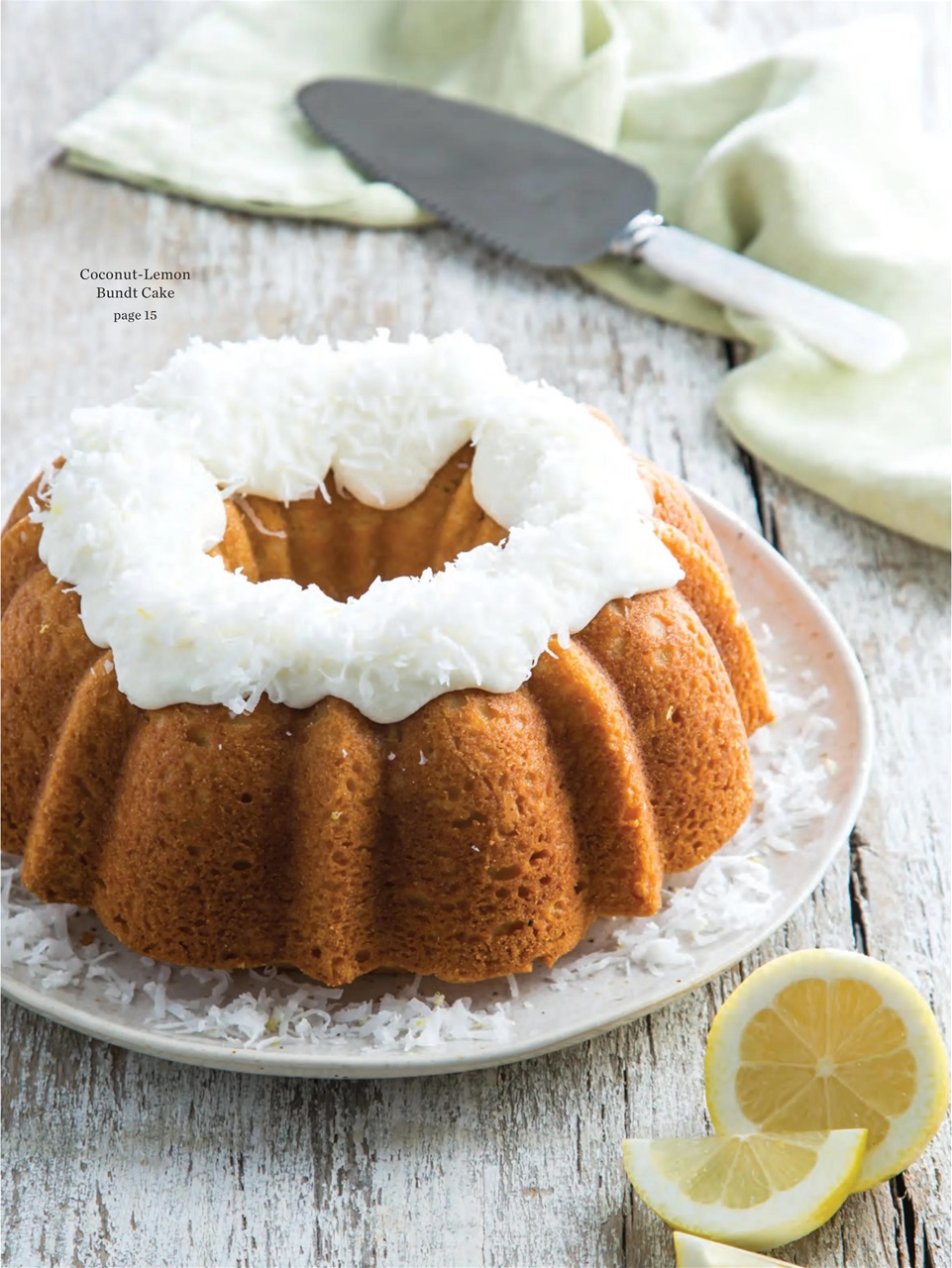 Taste of the South Preview Pages