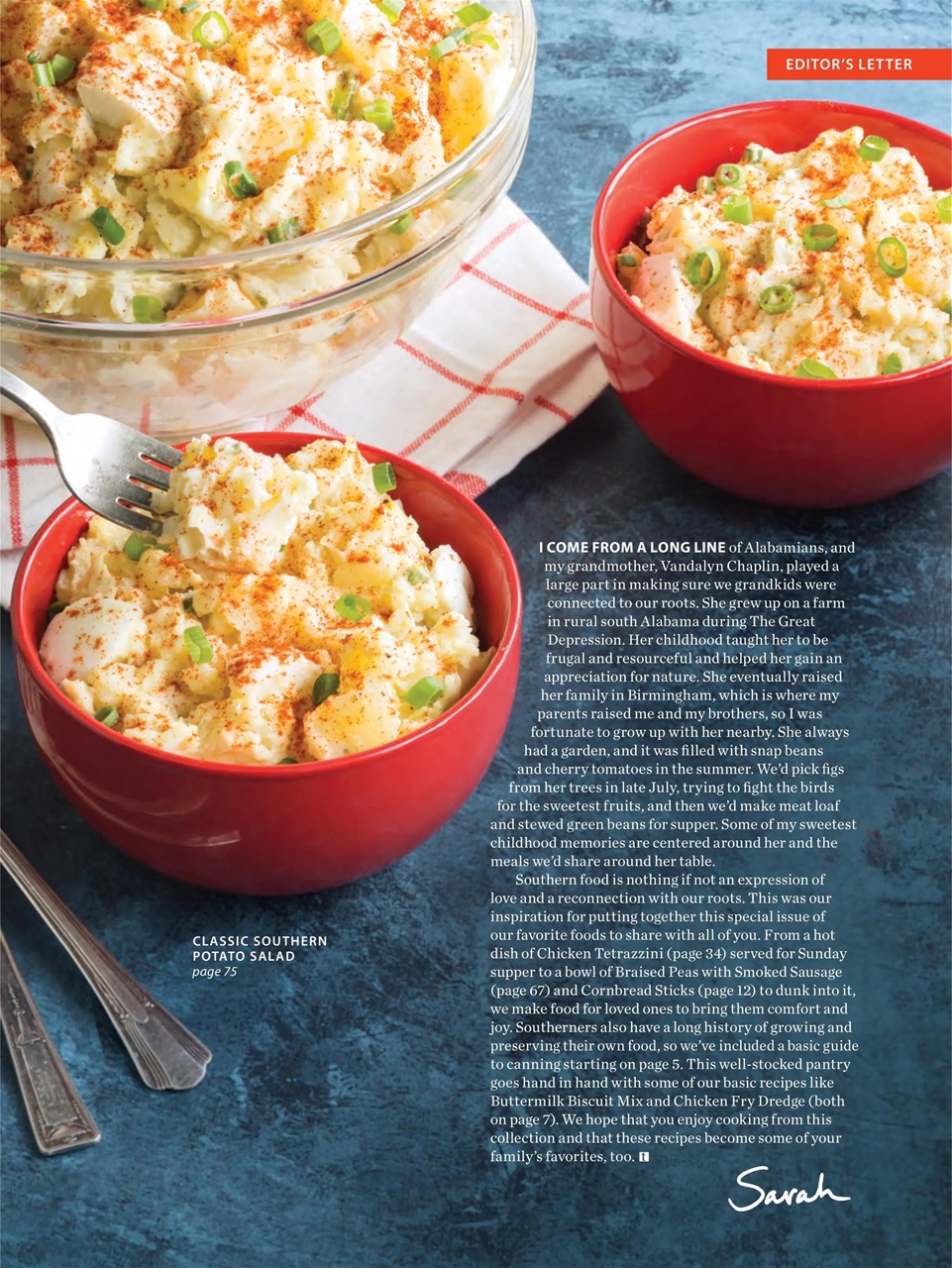 Taste of the South Preview Pages