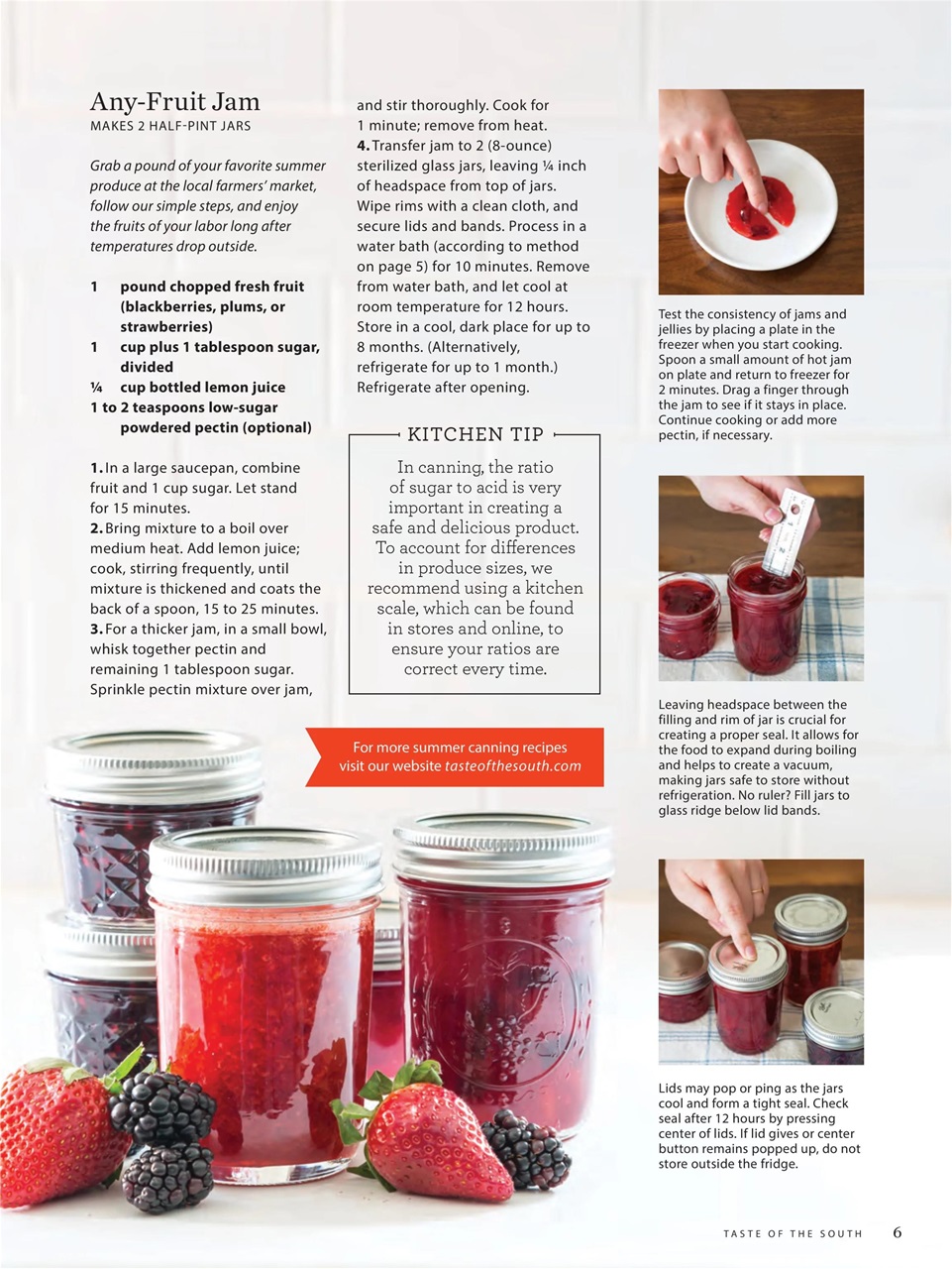 Taste of the South Preview Pages