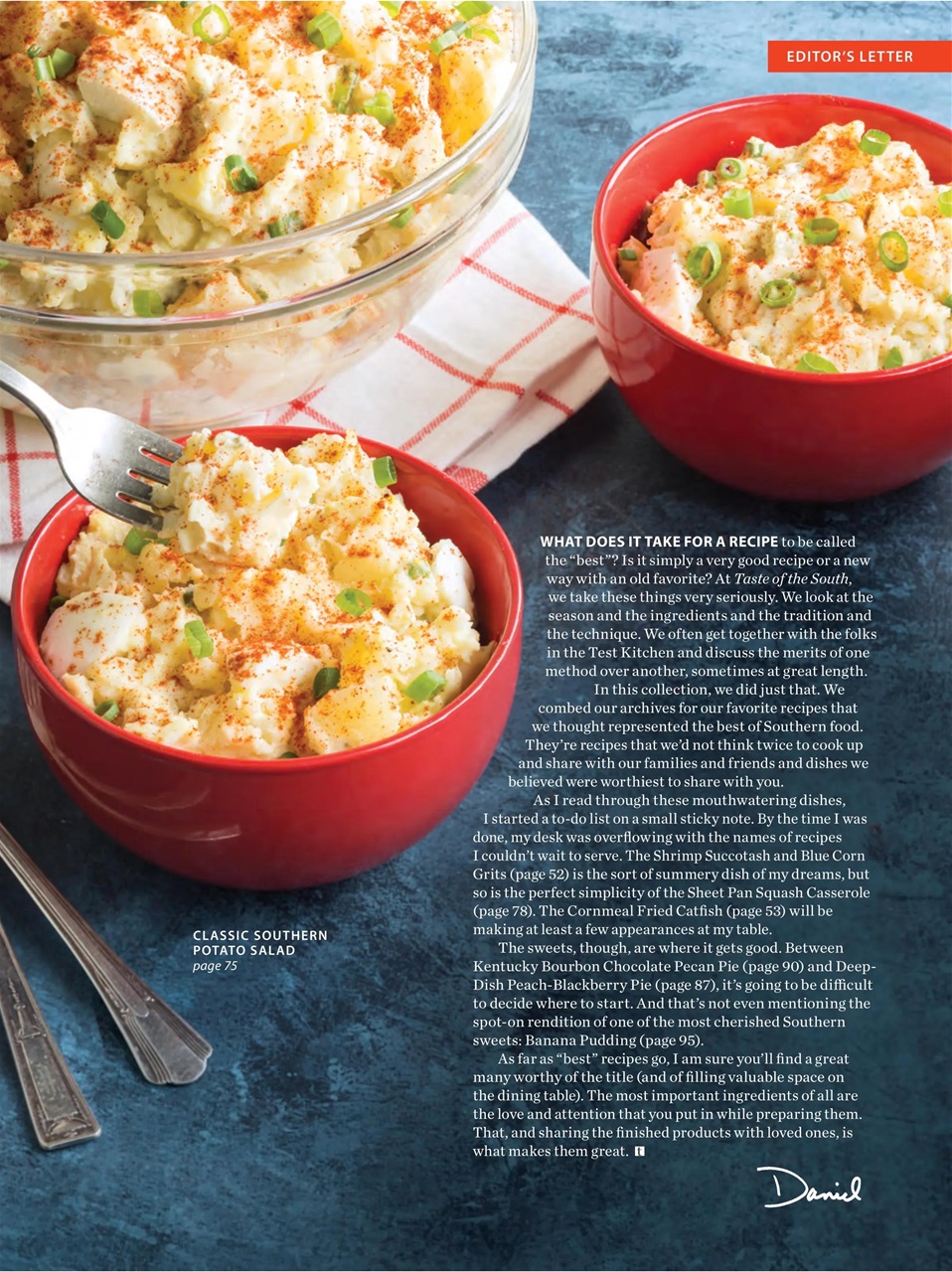 Taste of the South Preview Pages