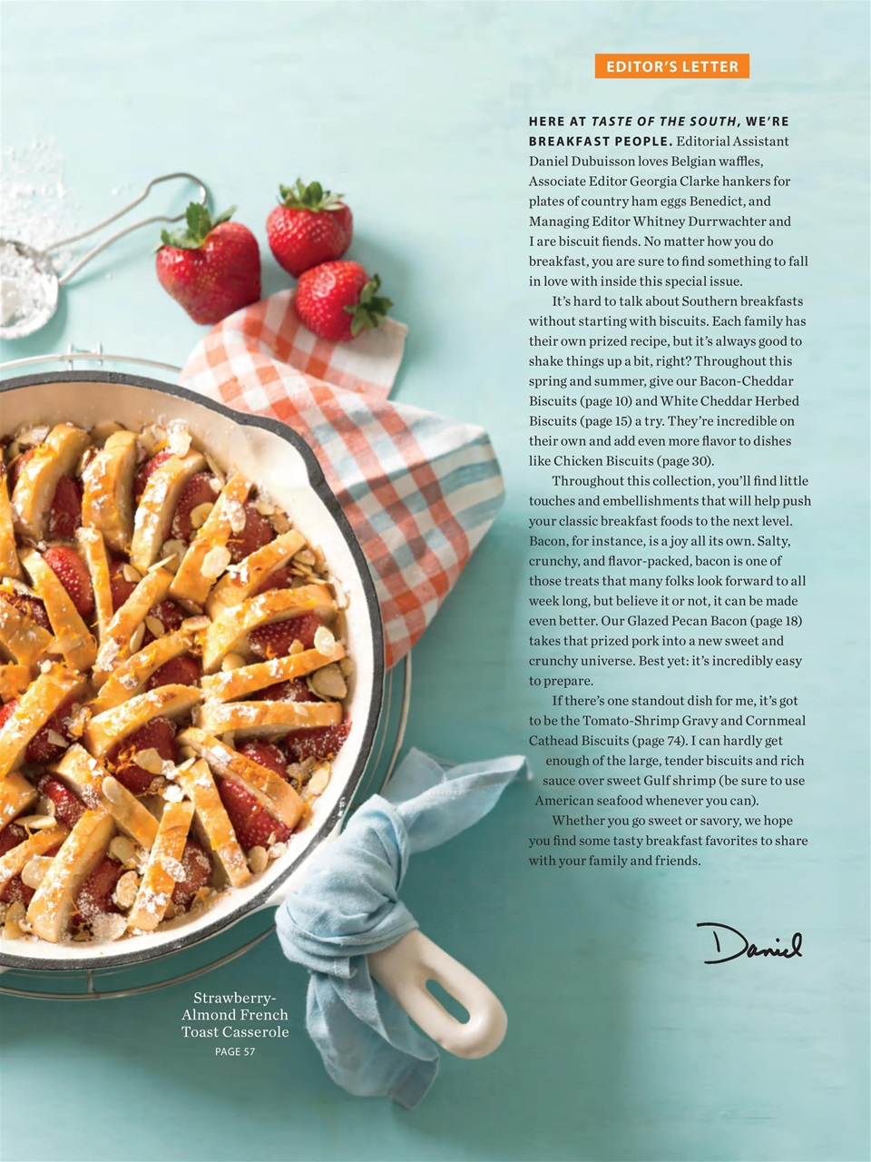 Taste of the South Preview Pages