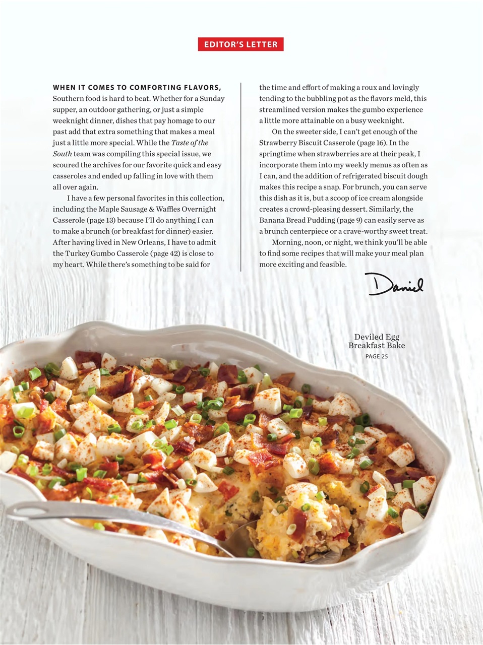 Taste of the South Preview Pages