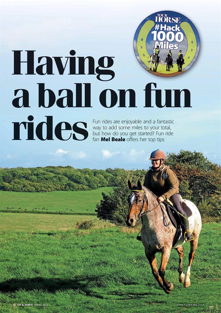 Your Horse Preview Pages