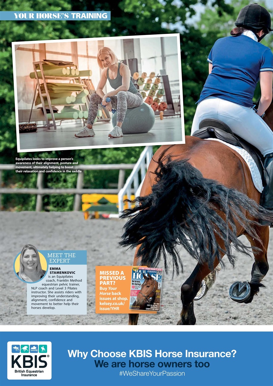 Your Horse Preview Pages