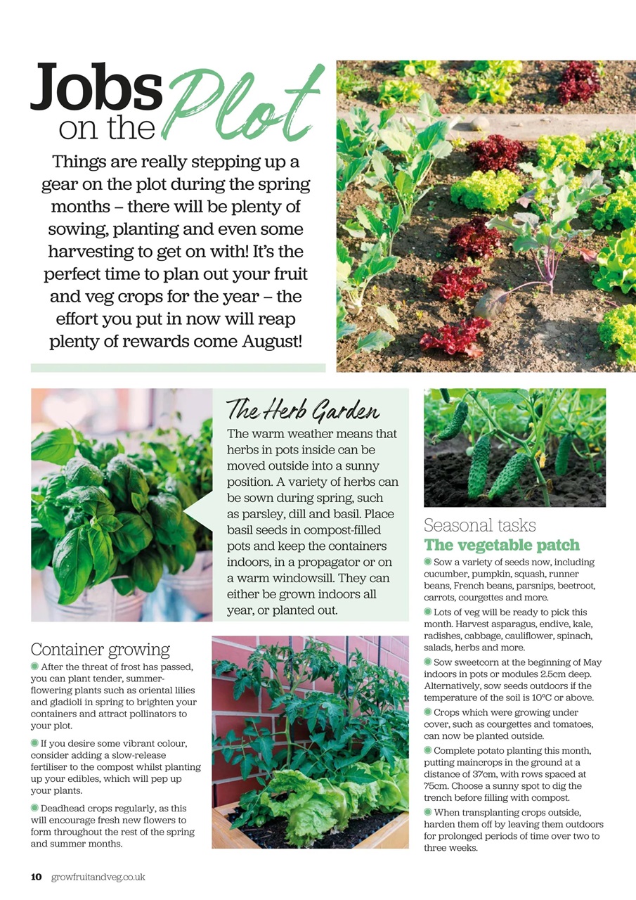 Grow Your Own Preview Pages
