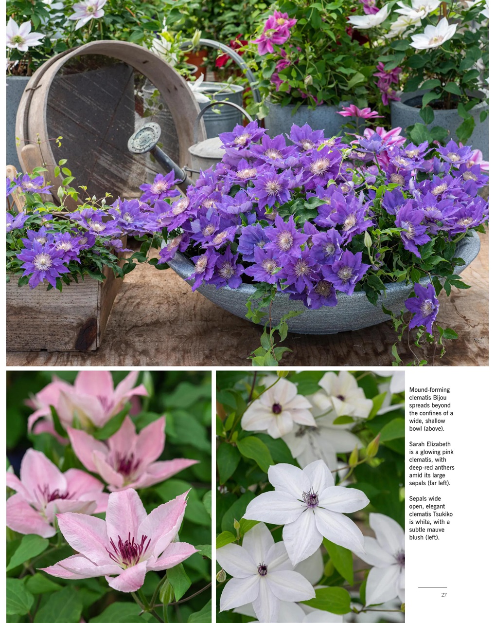 LandScape Preview Pages