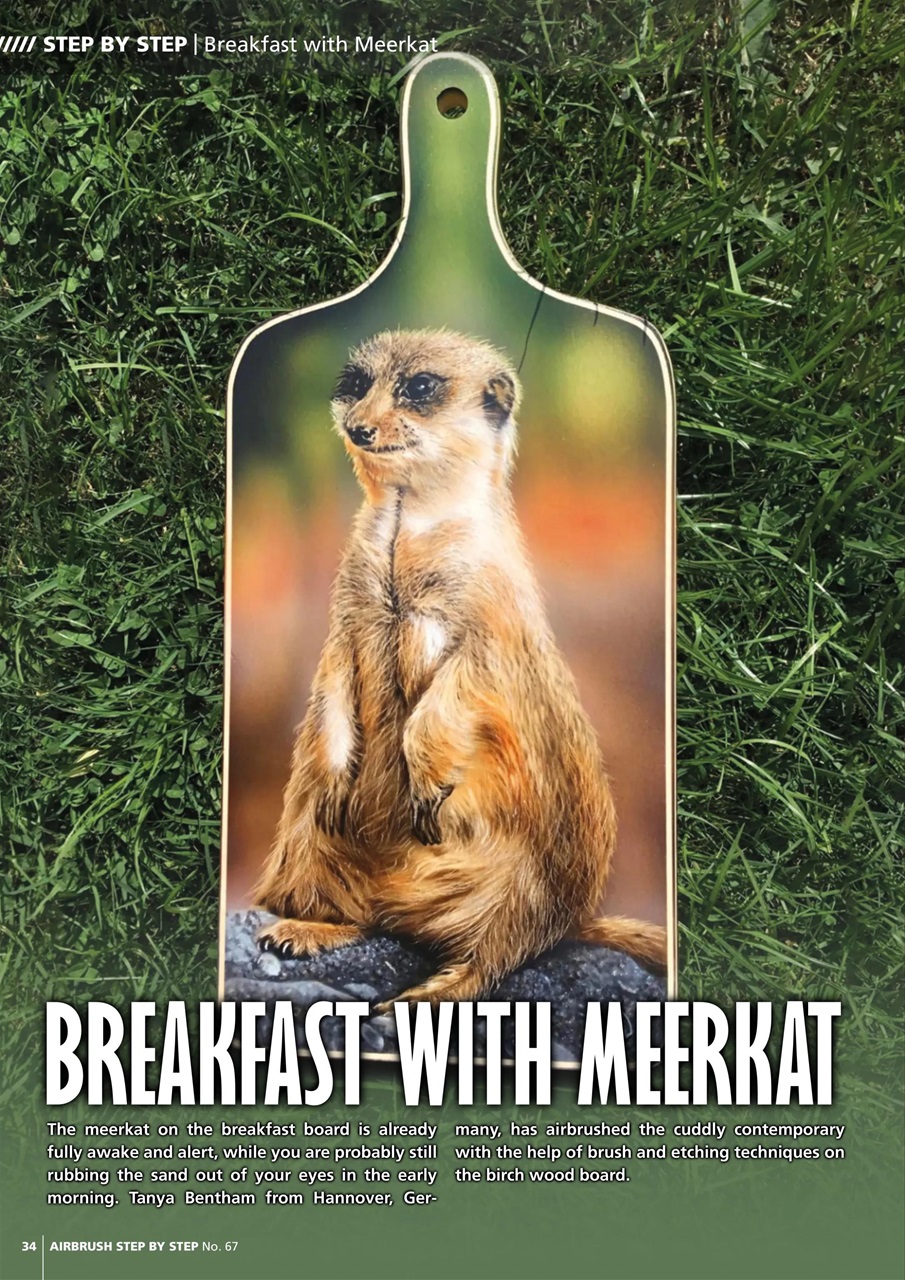 Airbrush Step by Step Preview Pages