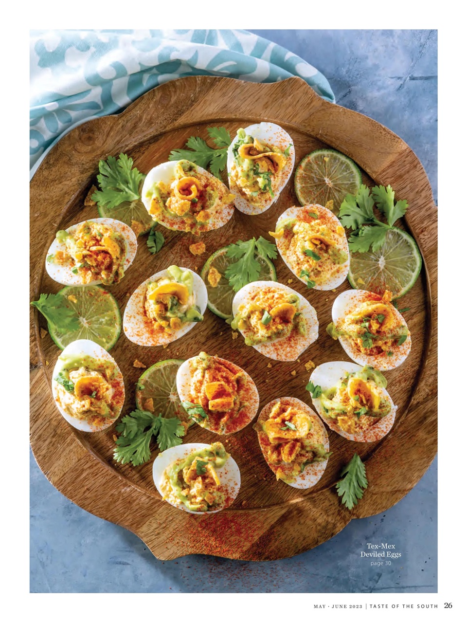 Taste of the South Preview Pages