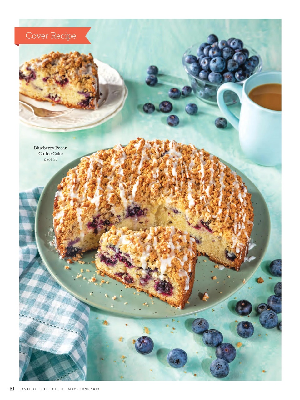 Taste of the South Preview Pages