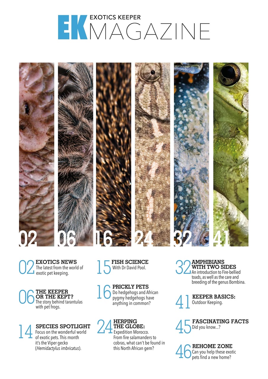 Exotics Keeper Preview Pages