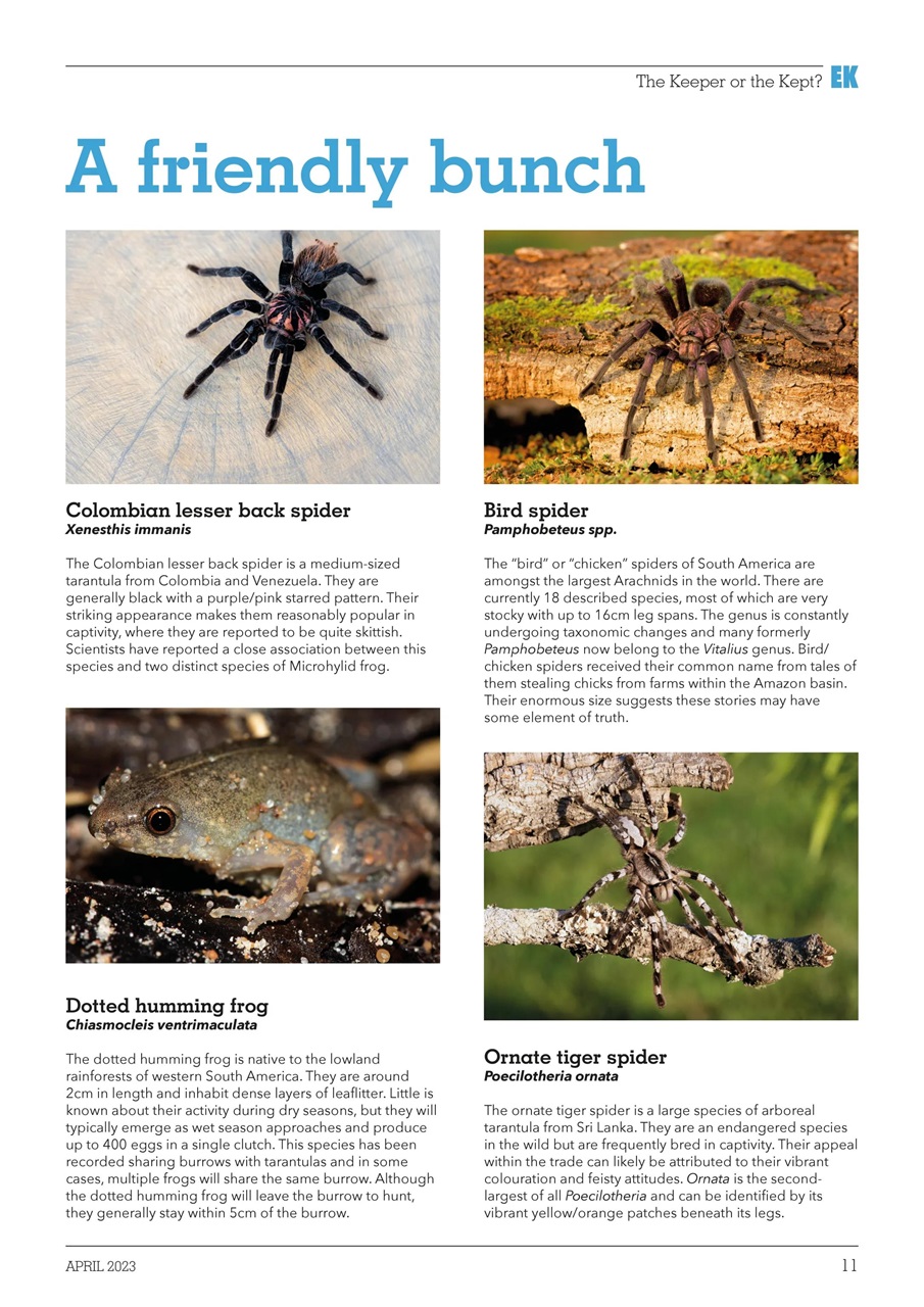 Exotics Keeper Preview Pages
