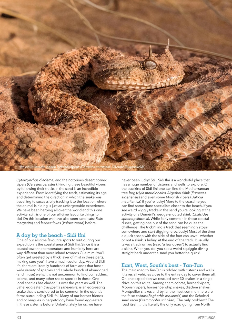 Exotics Keeper Preview Pages