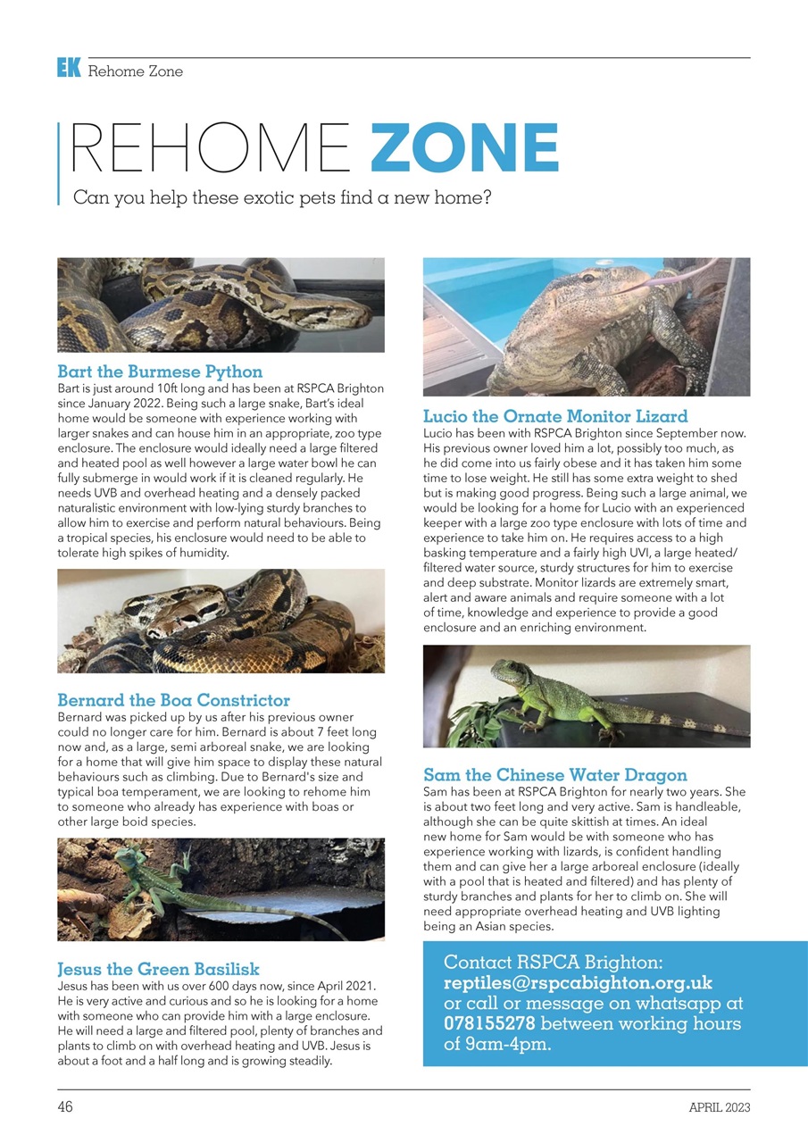 Exotics Keeper Preview Pages