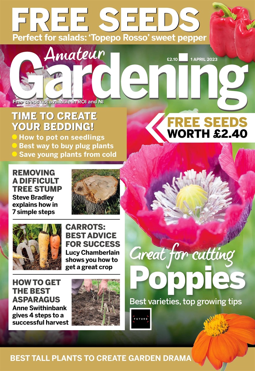 Amateur Gardening Preview Pages