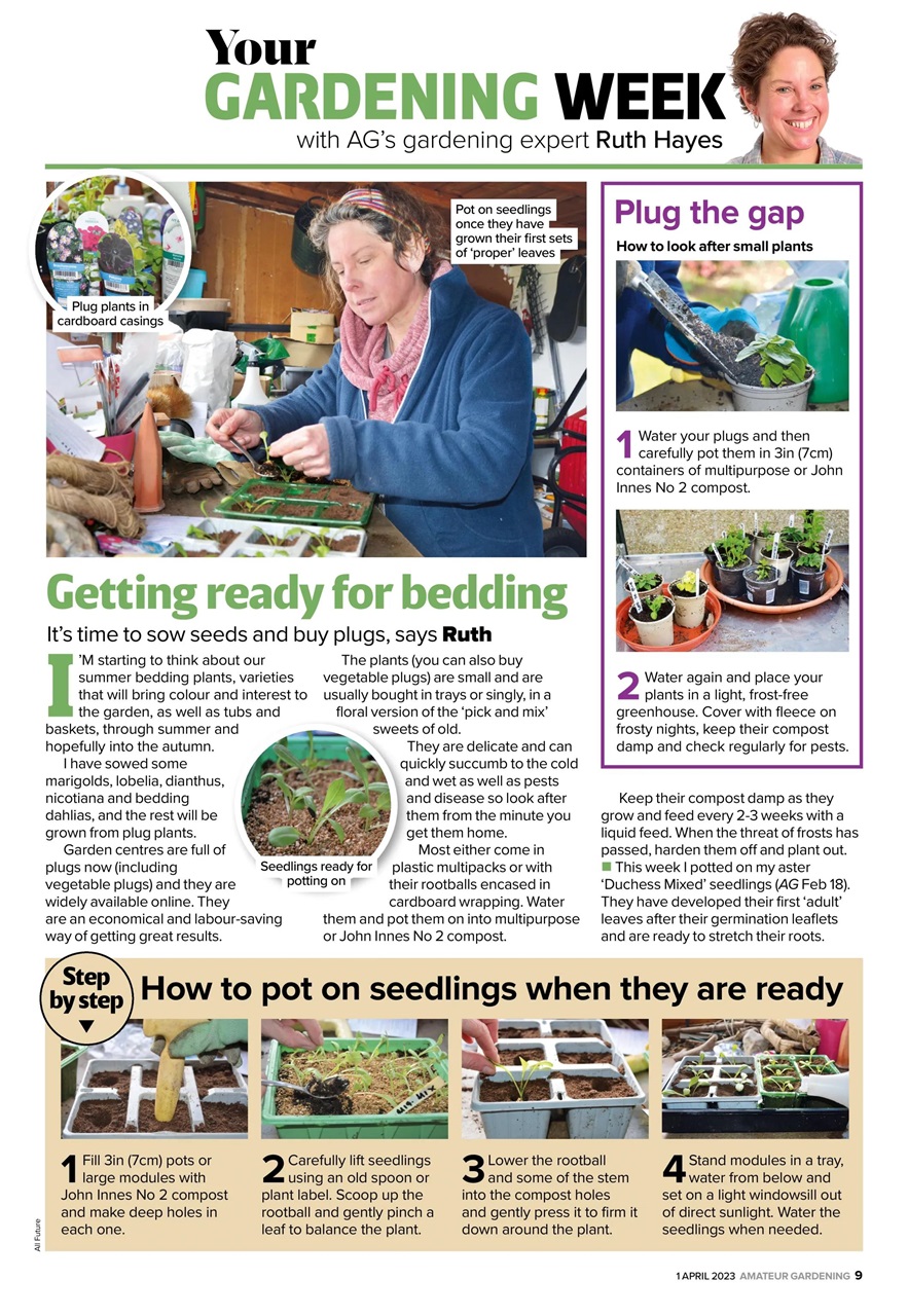 Amateur Gardening Preview Pages