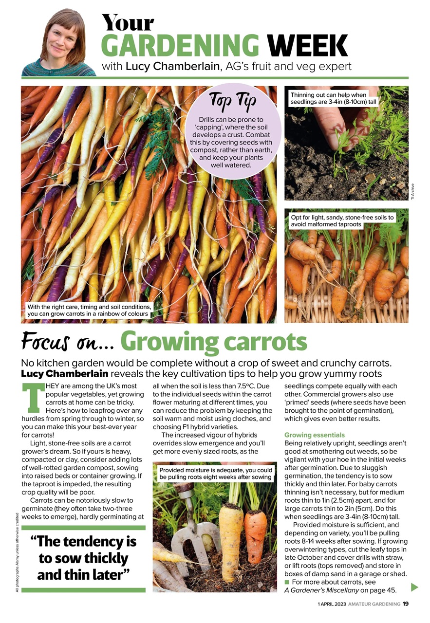 Amateur Gardening Preview Pages