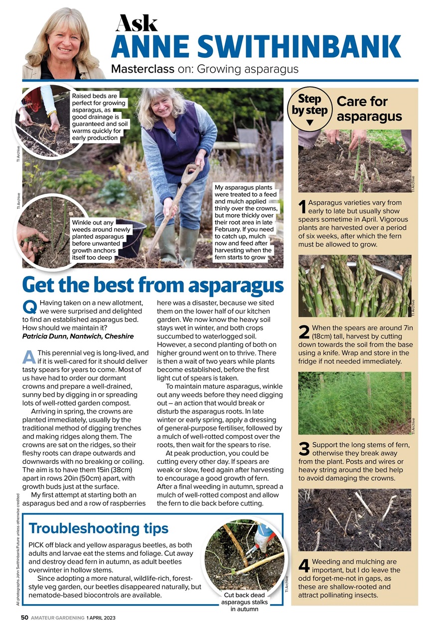 Amateur Gardening Preview Pages