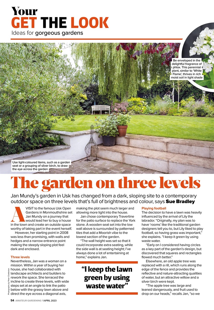Amateur Gardening Preview Pages