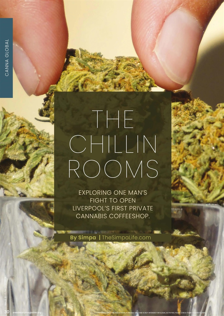 Weed World Preview Pages