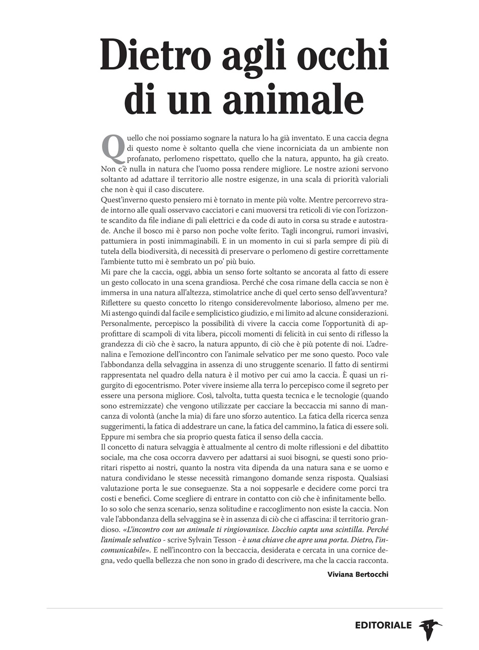 BECCACCE CHE PASSIONE Preview Pages